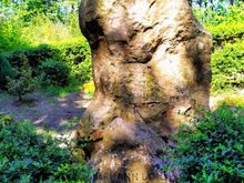 I include a pic of the Hermann Löns memorial here (there are 114 other memorials to him in Germany) because he was a writer and poet, a consummate artist!
