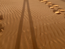 Cool pic I took during the dune bashing drive.  :)