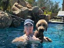 Dads at the ballgame. Poppy stayed home with her “cousin” to swim!