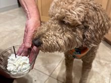 Today is my fourth birthday!