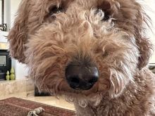 Wednesday is spa day! I need it bad!