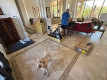 Poppy helping with the new Peloton (the old one wasn’t good enough! 😃