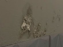 These stains were everywhere in the hallways between rooms