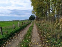 The route follows the river behind a protective line of trees and bushes