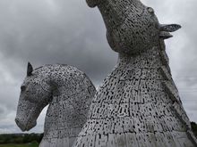 The other Kelpie has its head raised high in the air 
