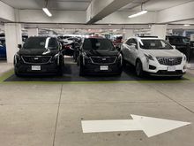 PS - judging by the car plates, it looks like they bought them at around the same time