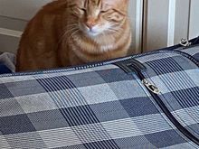 He’s watching me. Near my bag. 
