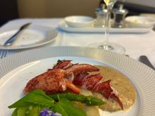 Lobster starter - excellent
