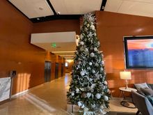 Christmas trees is up.