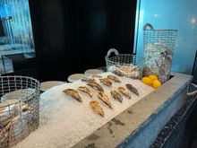 Freshly shucked oysters