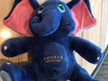 Conrad Bengaluru Elephant