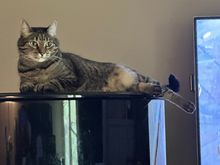 Fred says ‘sup?