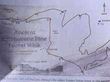 Map of the 4 mile loop I decided to skip. 