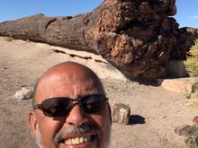 Selfie with huge petrified tree trunk. These guys are over 30,000 years old