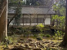 Feels like I’m in the Legend Of Zelda