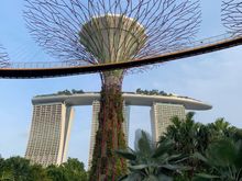 Gardens By The Bay Supertree
