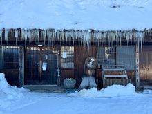 Icicles