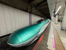 She’s a beauty. Full disclosure: this wasn’t our specific train.