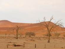 The "2x2 car park" just before the last 5km to Sossusvlei