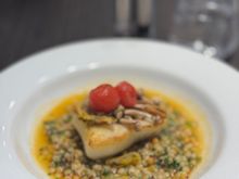 Halibut