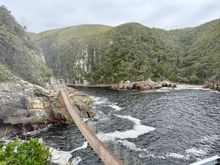 Cool suspension bridges at Storms River