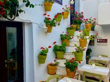 Vassilis - Old town. Great place to eat