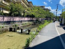 Walking around Kyoto