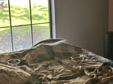 Someone knocked on the front door.