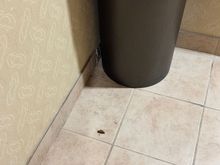 Condition of the common areas.