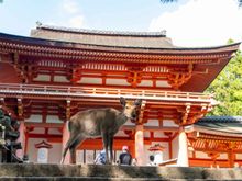 Nara