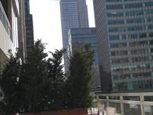 Terrace (Rm 1101)