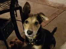 Can I have more of your NYE steak, please?