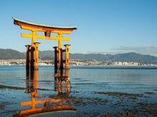 Itsukushima Shrine at low tide. Before coming here, I thought Nara was the only place in Japan where deer roamed freely.