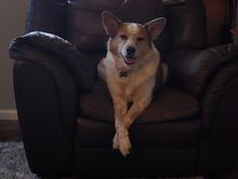 Ranger smiling