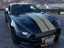 Cobra GT-H