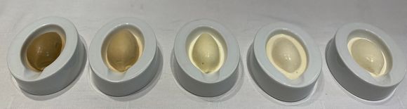 Palate cleansers  .. coffee ( had 2 ) , caramel , nougat , honey & almond 