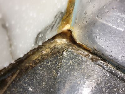 disgusting mold on the shower wall lining (part Deux)