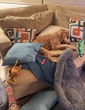 She really has all she needs in the area of the family room we now refer to as “Poppy’s Lounge!” ;)