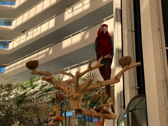 Merlot, the lobby mascot 
