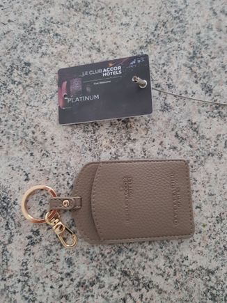 Luggage tag and keyring