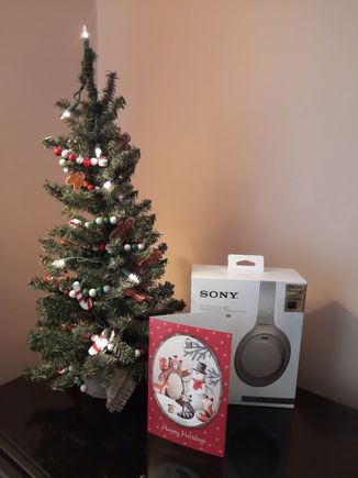 FT Secret Santa 2020 gift from Luitje