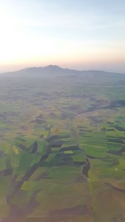 Beautiful green fields