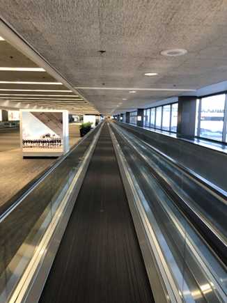 Empty Terminal - because....