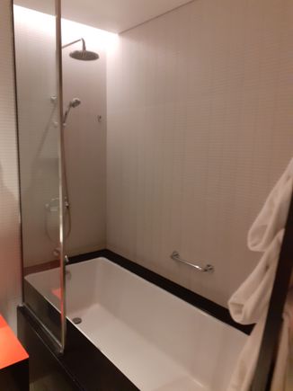 Combined Bath/shower