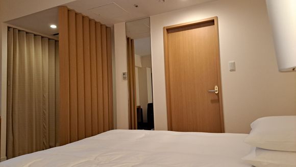 View from my bed. Bathroom through the door. Closet ( with hangers,storage , iron etc ) hidden from room behind a curtain  ( far left) which was unusual in my experience)