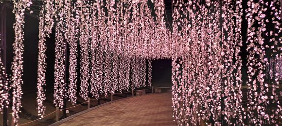 Another light tunnel ( shorter but in pink)