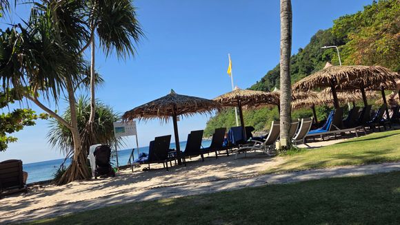 The beach