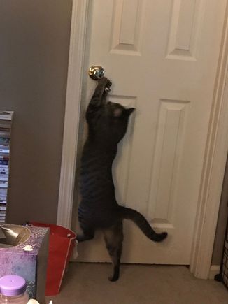 Fred being Fred.