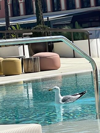 Unregistered guest