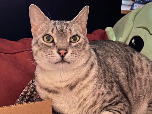 My coworker today would prefer it if I turned up the temperature outside.